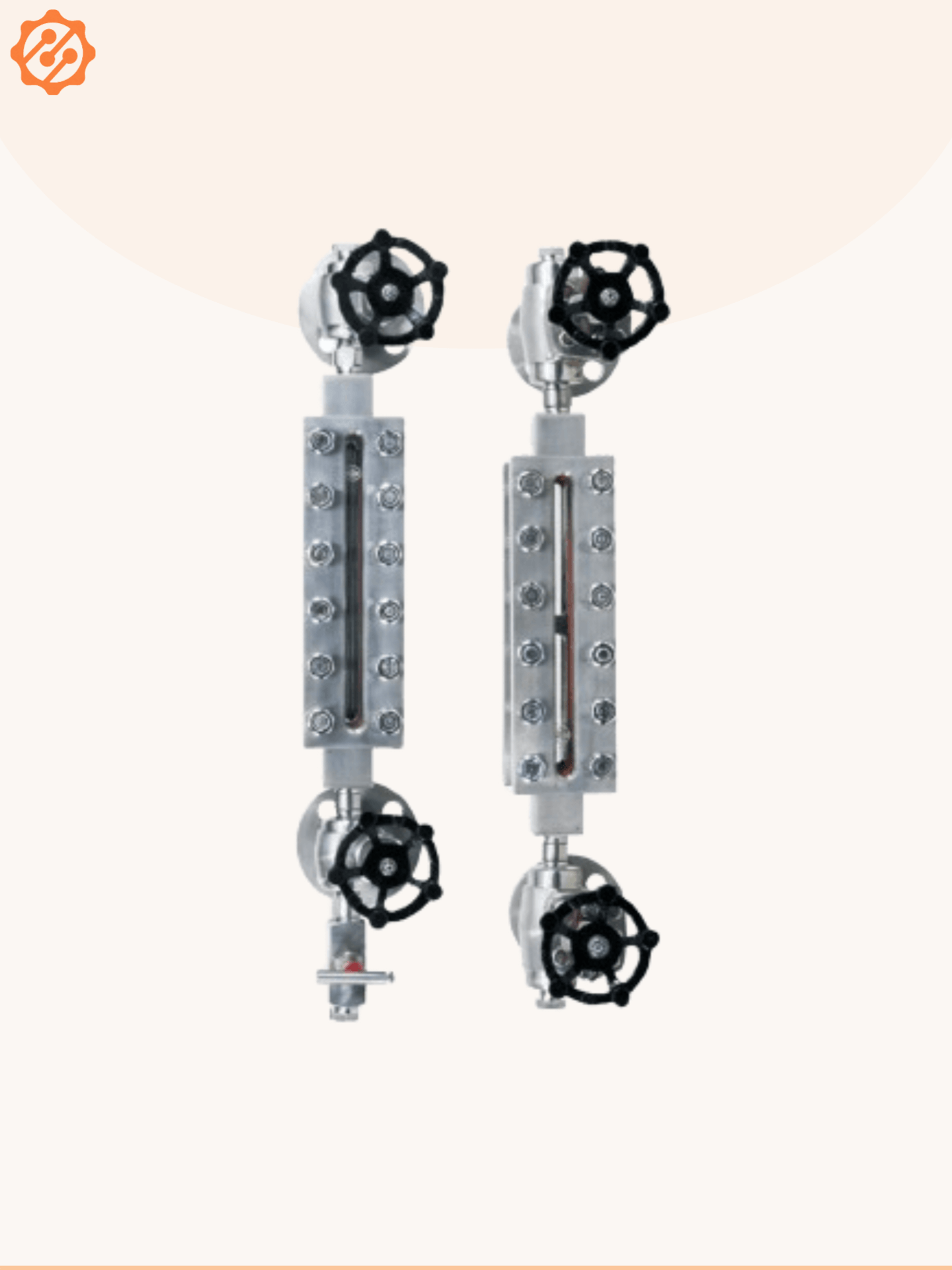 Reflex Level Gauge